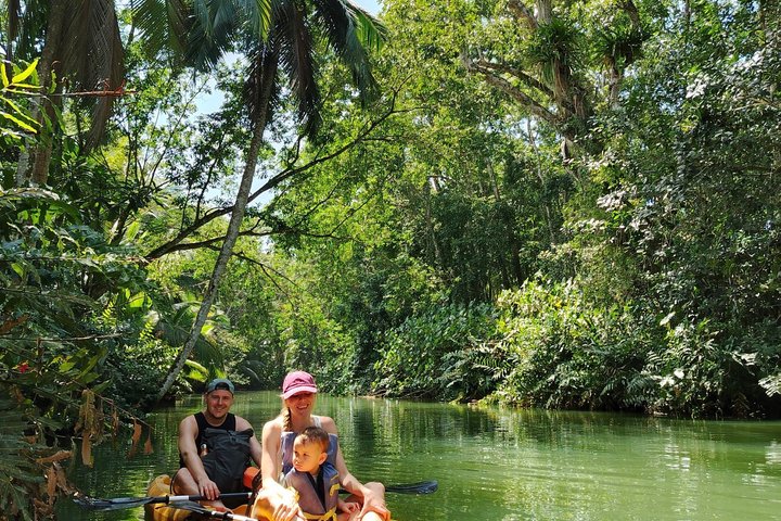 Punta Uva Wildlife Kayaking, Hike & Sloth Watching Tour