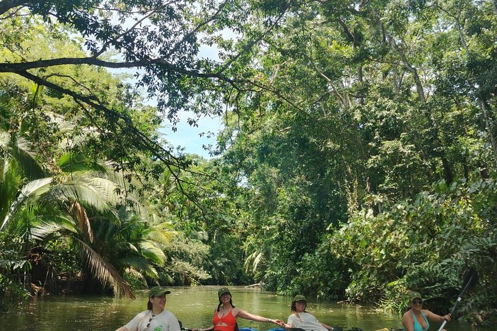 Punta Uva Wildlife Kayaking, Hike & Sloth Watching Tour