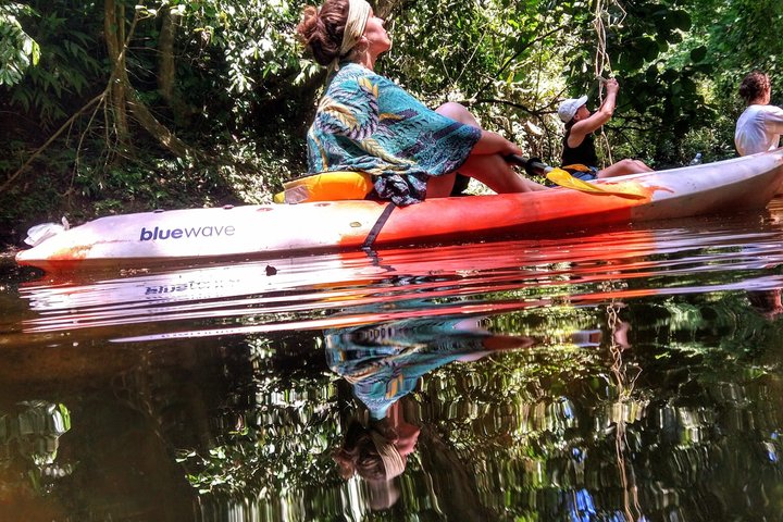 Punta Uva Wildlife Kayaking, Hike & Sloth Watching Tour