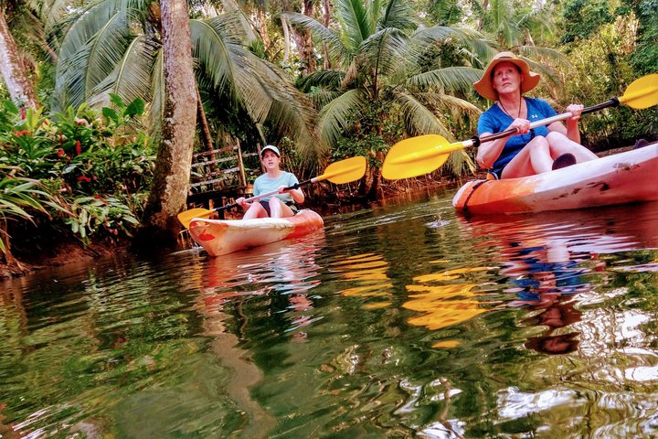 Punta Uva Wildlife Kayaking, Hike & Sloth Watching Tour