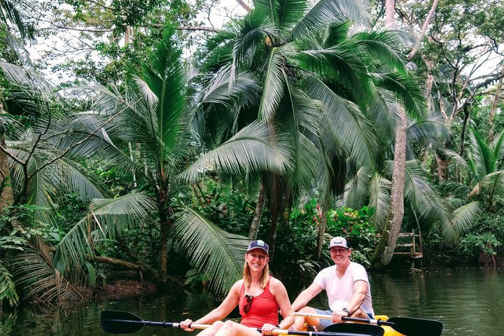 Punta Uva Wildlife Kayaking, Hike & Sloth Watching Tour