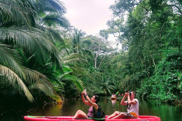 Punta Uva Wildlife Kayaking, Hike & Sloth Watching Tour