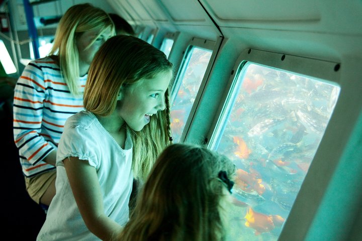 Undersea Expedition: Catalina Island Tour