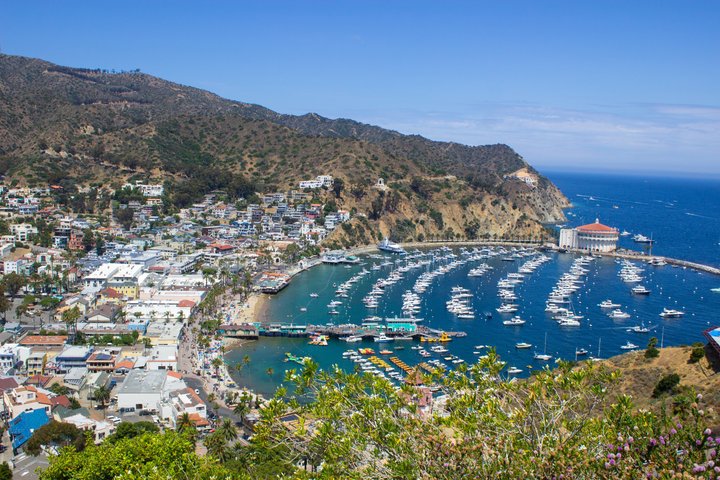 Discover Avalon: Catalina Scenic Tour
