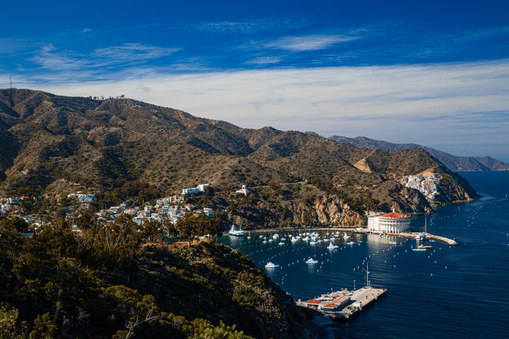 Discover Avalon: Catalina Scenic Tour