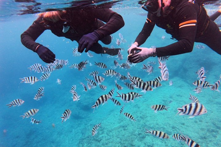 Okinawa Private Snorkeling Tour Blue Cave Hotel pickup available