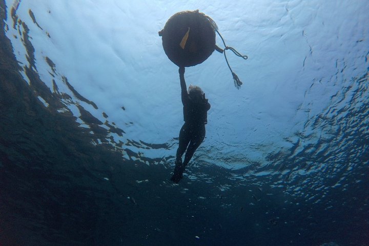 Okinawa Private Snorkeling Tour Blue Cave Hotel pickup available