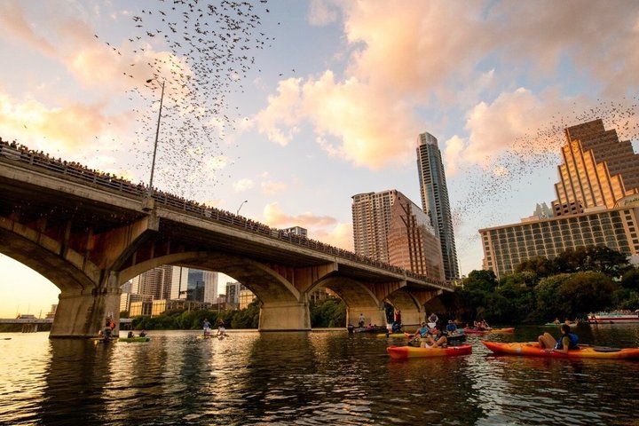 Guided Sunset Bat Kayak Tour in Austin