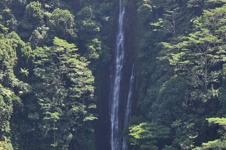 Southeast Side of Upolu Full-Day Island Tour of Samoa