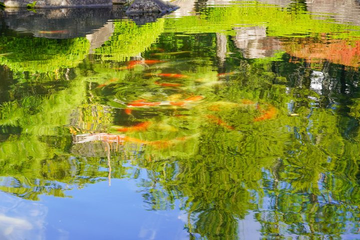 Himeji Castle Easy Bike Tour: Samurai History, Garden & Matcha