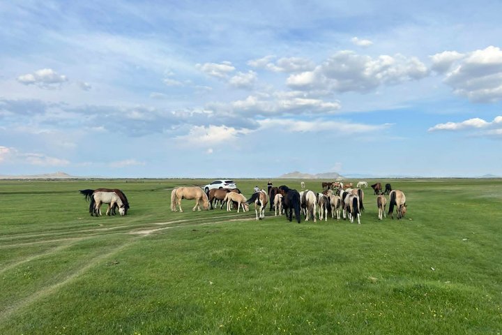 Semi-Gobi and Kharkhorum overnight private trip