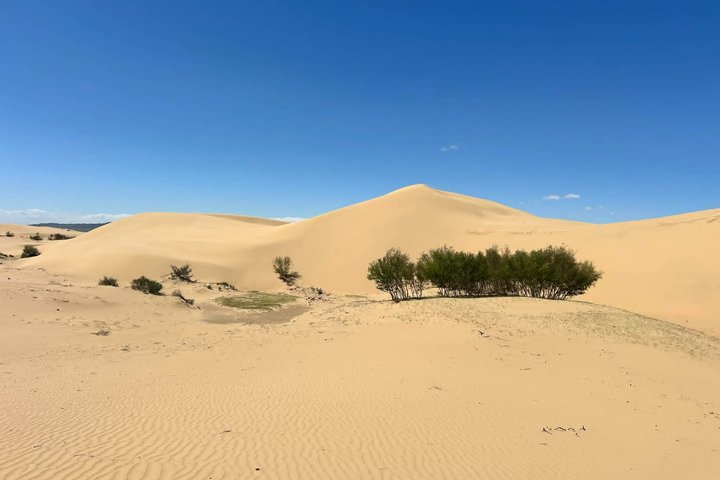 Semi Gobi / Kharkorum overnight trip (nomadic family stay)