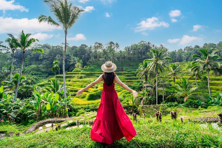 Ubud: Monkey Forest, Rice Terrace, Elephant Cave & Waterfall Tour