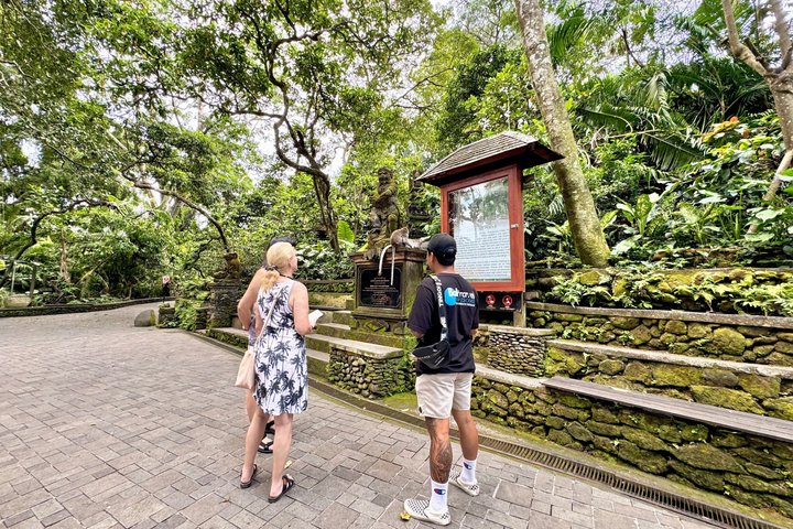 Ubud: Monkey Forest, Rice Terrace, Elephant Cave & Waterfall Tour