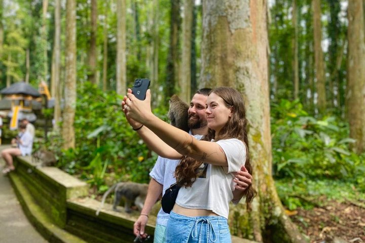 Ubud: Monkey Forest, Rice Terrace, Elephant Cave & Waterfall Tour
