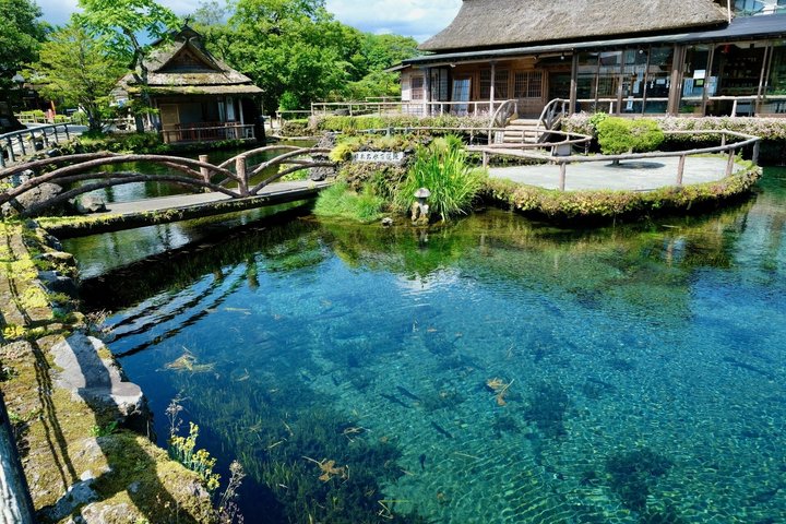 Mt Fuji Customized Private Tour See Top Attractions in 1 Day