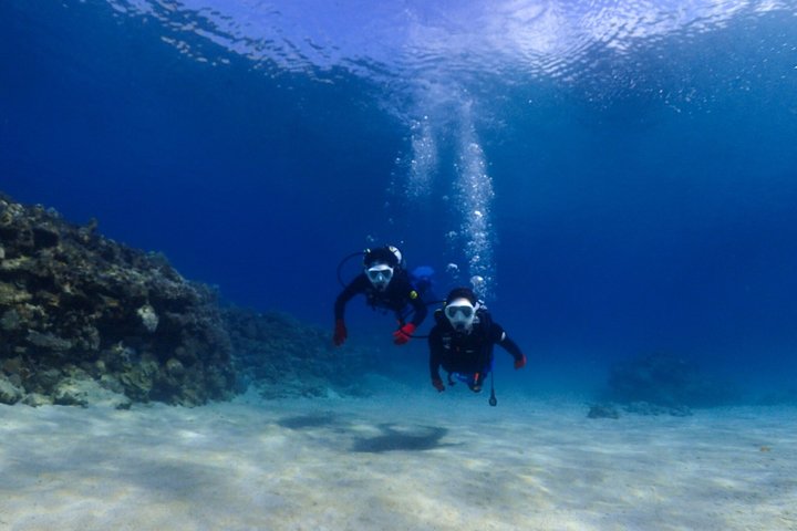 Okinawa Dive & Dine Adventure for Certified Divers (2-Day Tour)