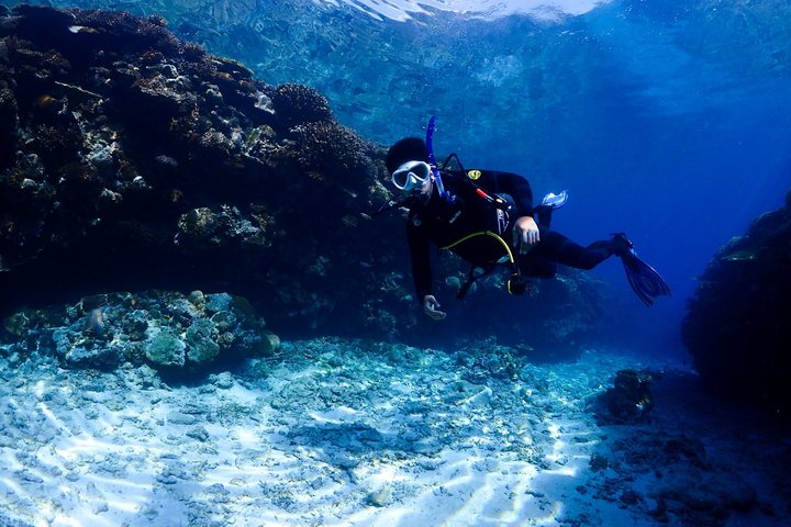 Okinawa Dive & Dine Adventure for Certified Divers (2-Day Tour)