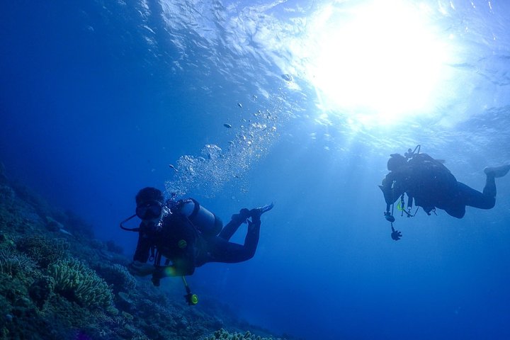 Okinawa Dive & Dine Adventure for Certified Divers (2-Day Tour)
