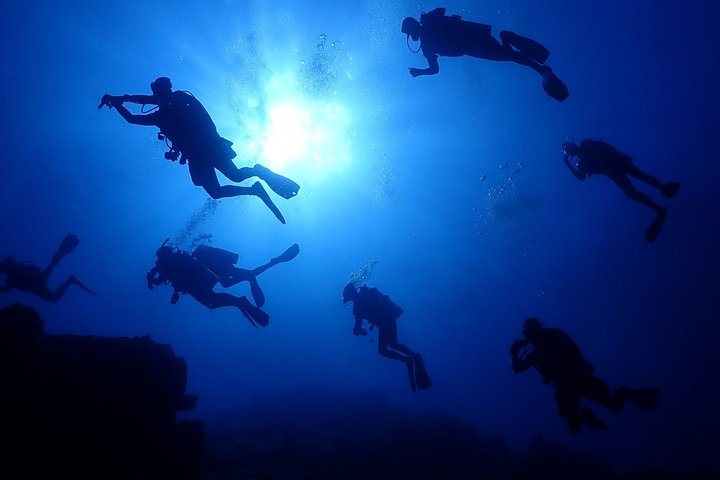 Okinawa Dive & Dine Adventure for Certified Divers (2-Day Tour)
