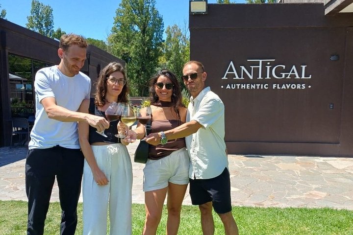 Bike Tour with Winery and Olivicola Tastings