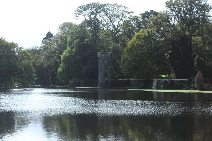 Full day Private Tour from Waterford