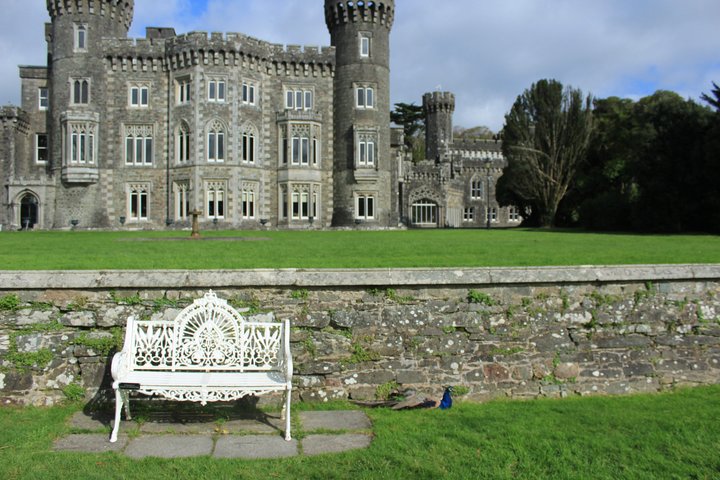 Full day Private Tour from Waterford