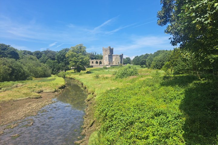 Full day Private Tour from Waterford