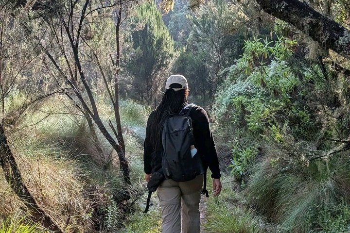 Kilimanjaro one day hike experience by KILITA SAFARIS