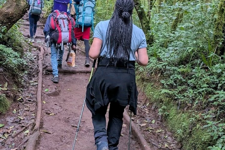 Kilimanjaro one day hike experience by KILITA SAFARIS