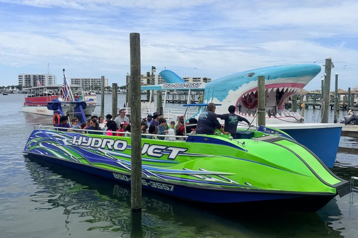 Dolphin Cruise in Destin FL