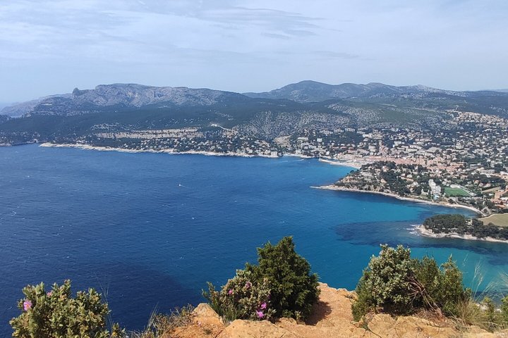 Private Marseille Shore excursion Aix en Provence Cassis Tour