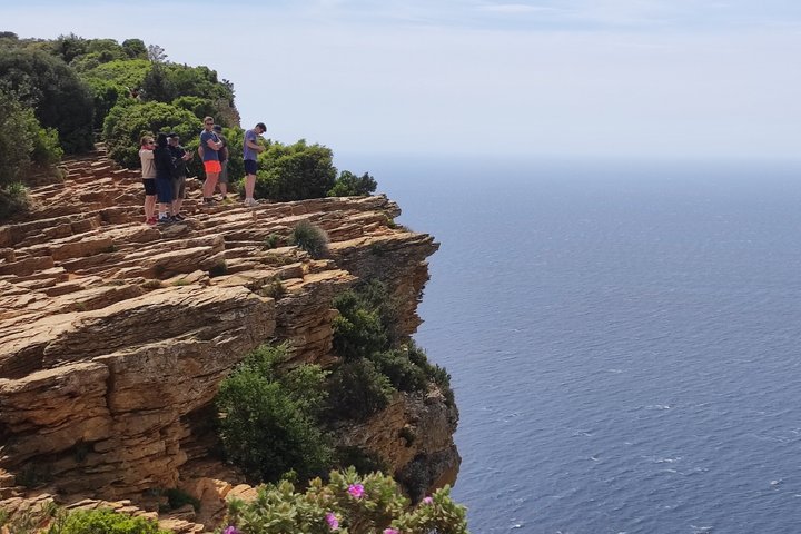 Private Marseille Shore excursion Aix en Provence Cassis Tour