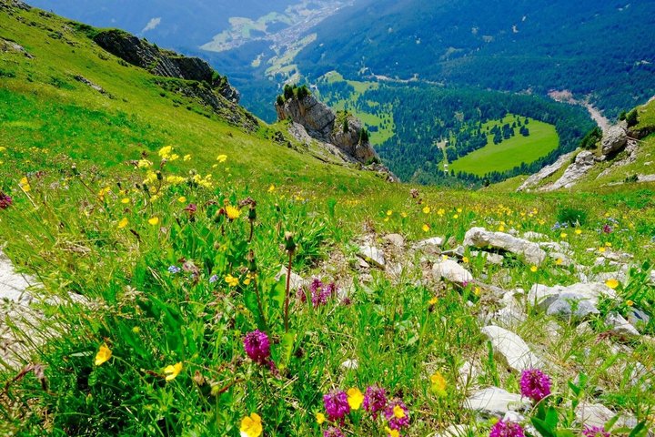 From Bolzano To Funes Valley ,Mount Seceda and Ortisei Day tour
