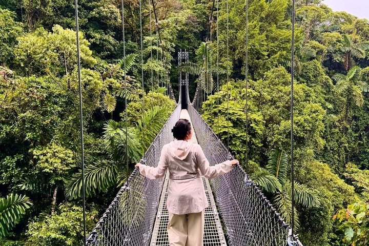 Arenal volcano, hanging bridges and sloth encounter tour.