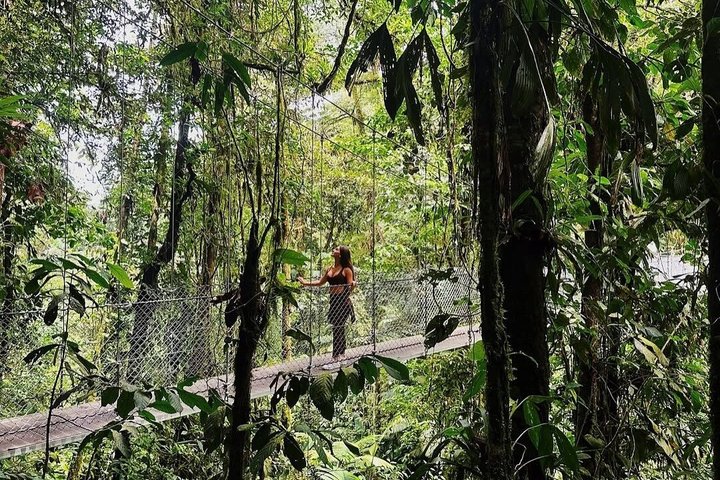 Arenal volcano, hanging bridges and sloth encounter tour.