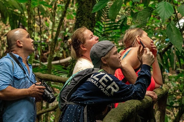 Arenal volcano, hanging bridges and sloth encounter tour.