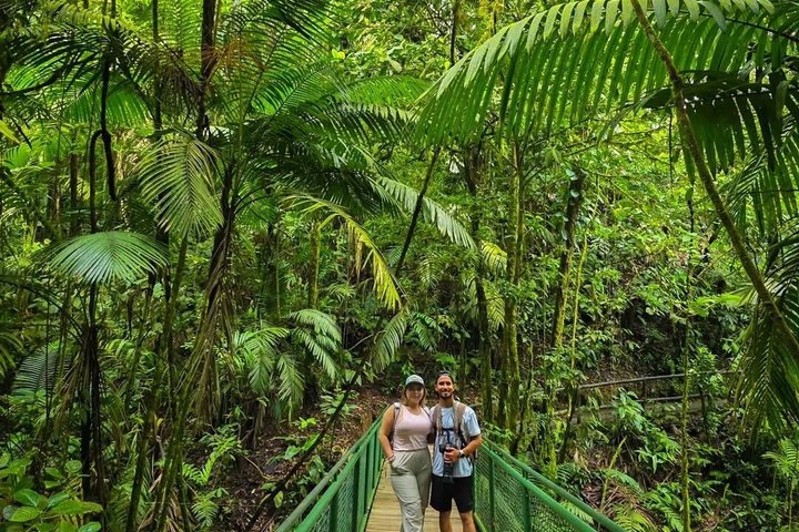 Arenal volcano, hanging bridges and sloth encounter tour.