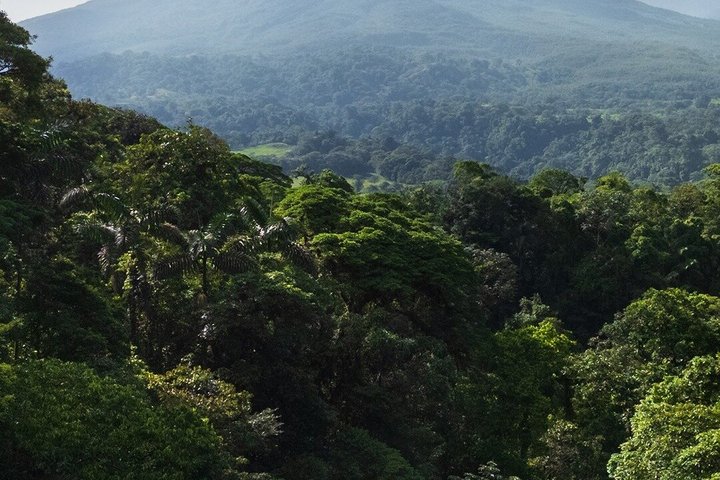 Arenal volcano, hanging bridges and sloth encounter tour.