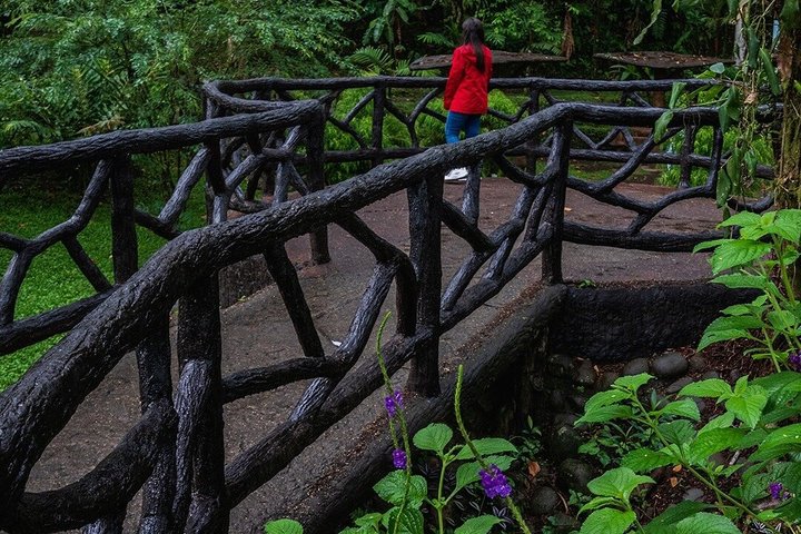 Arenal volcano, hanging bridges and sloth encounter tour.