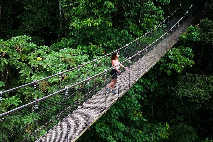 Arenal volcano, hanging bridges and sloth encounter tour.