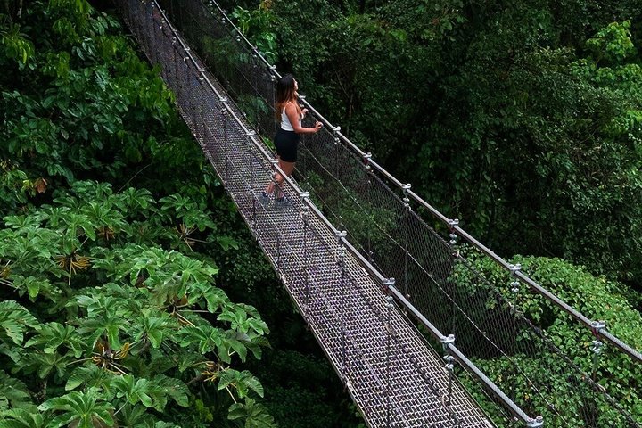 Arenal volcano, hanging bridges and sloth encounter tour.