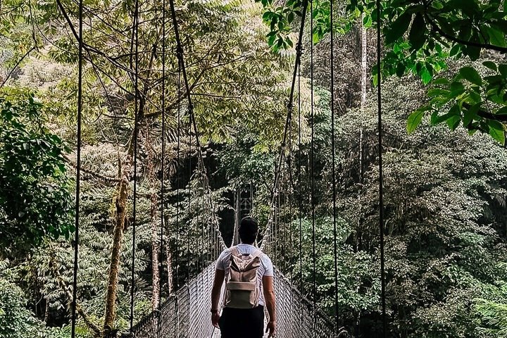 Arenal volcano, hanging bridges and sloth encounter tour.