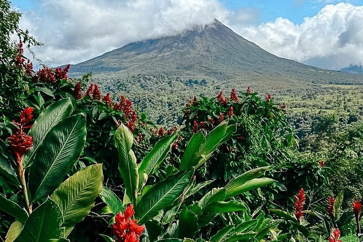 Arenal volcano, hanging bridges and sloth encounter tour.