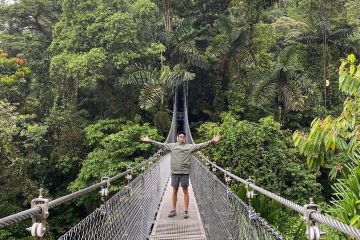 Arenal volcano, hanging bridges and sloth encounter tour.