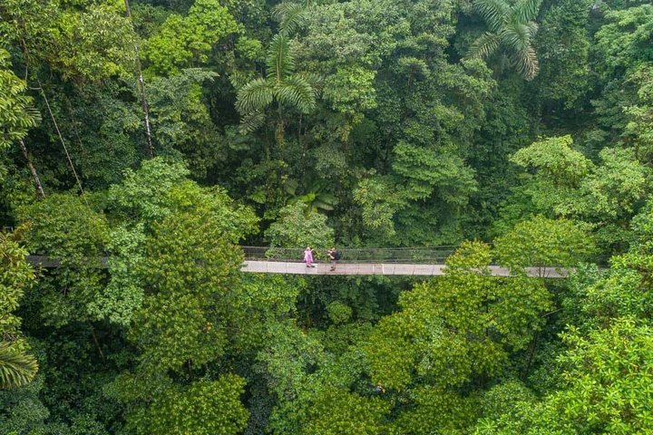Arenal volcano, hanging bridges and sloth encounter tour.