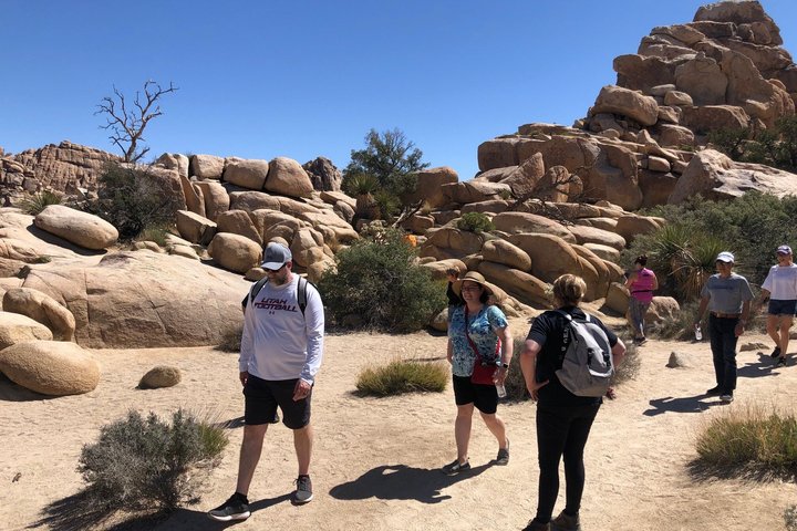 Joshua Tree National Park Offroad Tour