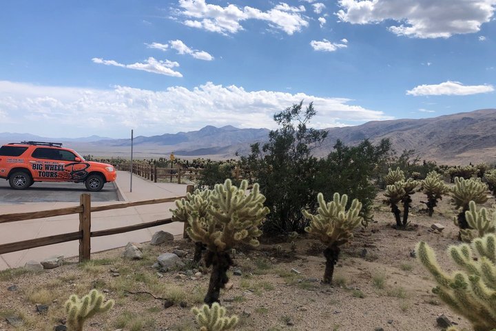 Joshua Tree National Park Offroad Tour