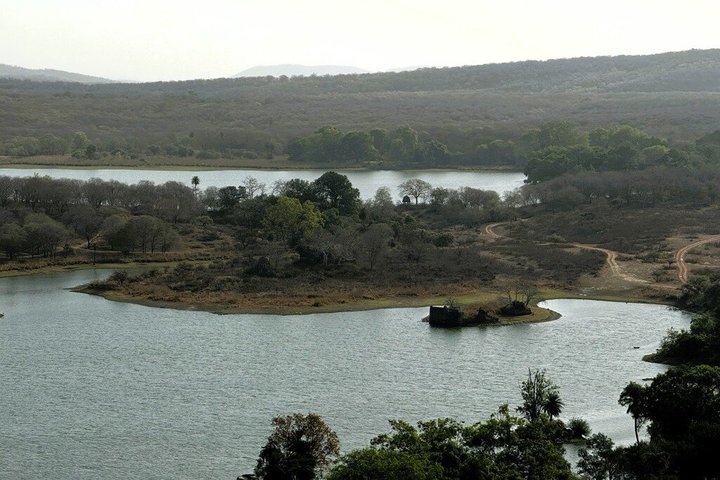 Ranthambore Tiger Safari in Jeep or Canter with Pickup