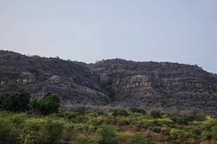Ranthambore Tiger Safari in Jeep or Canter with Pickup